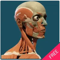 Human Body Free Offline