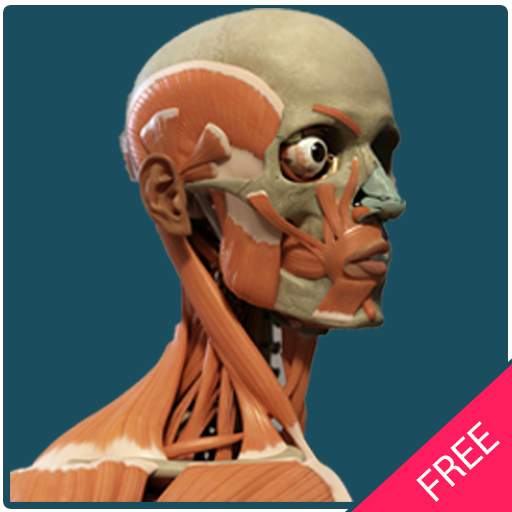 Human Body Free Offline 1.0