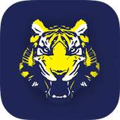 Tioga CSD 15.0