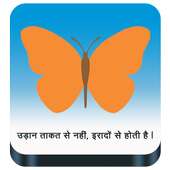 LIC Policy Tracker