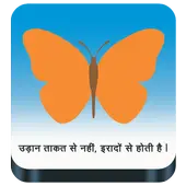 LIC Policy Tracker