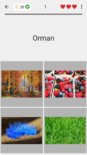 Resimleri ve kelimeleri tahmin edin Fotoğraf testi screenshot 4