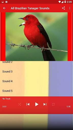 Brazilian Tanager Bird Sounds screenshot 2
