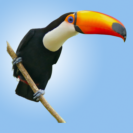 Wild Birds Atlas आइकन