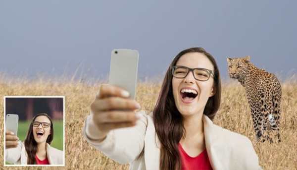 Selfie Wild Animals : Photo Editor 2018 screenshot 4