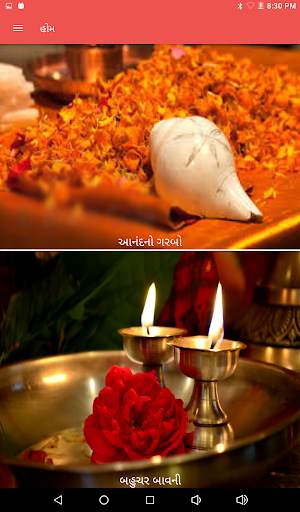 Anand No Garbo screenshot 10