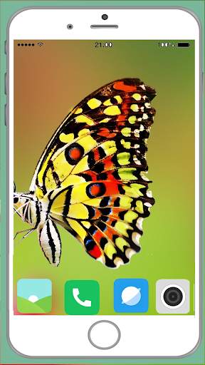 Butterfly Full HD Wallpaper screenshot 13