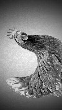 Chicken Game screenshot 1