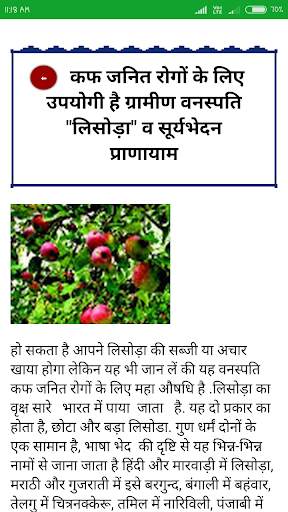 Ayurvedic Plants & Herbs Information In Hindi screenshot 4
