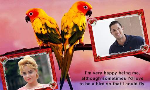 Love Birds Dual Photo Frame screenshot 2