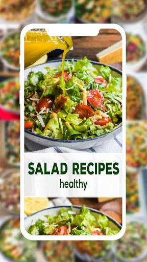 Salad Recipes Offline screenshot 1