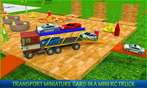 RC Cars Transporter Truck screenshot 2