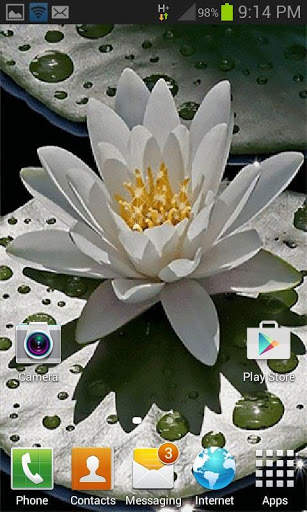 Beautiful Lotus Live Wallpaper screenshot 2