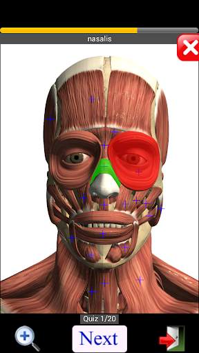 Anatomy Quiz screenshot 3