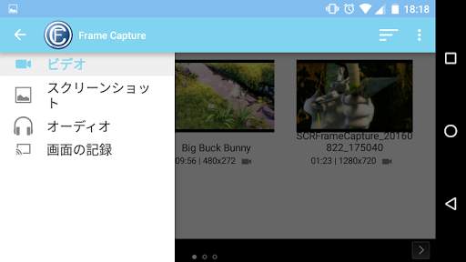 Frame Capture screenshot 4