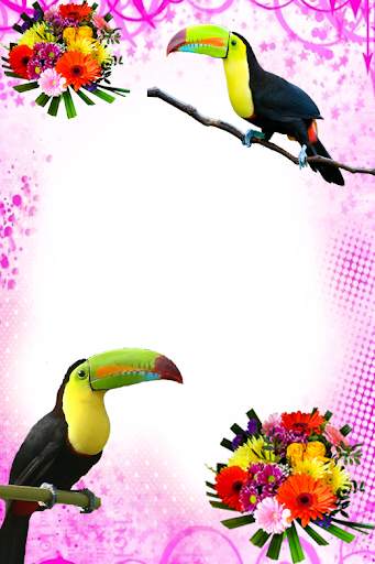 Birds Photo Frames स्क्रीनशॉट 3
