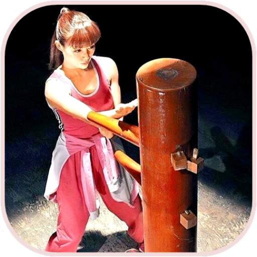 Wing Chun Kung Fu 16