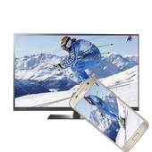 screen mirroring 6.0