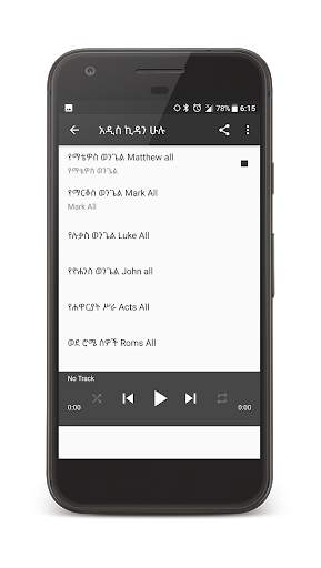 Amharic Audio Bible screenshot 2