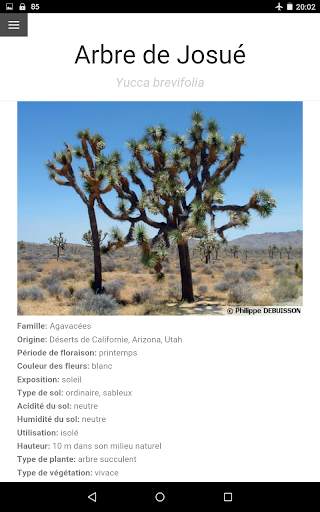 Au Cactus screenshot 12