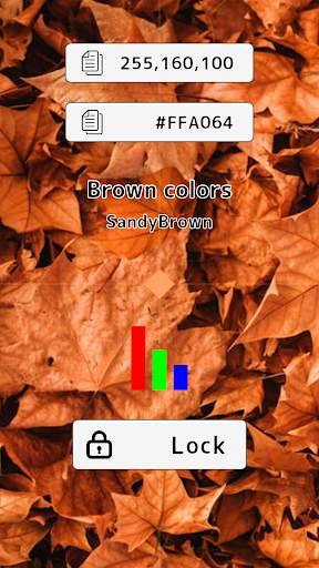 Color Camera screenshot 4