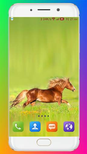 Horse Wallpaper HD screenshot 8