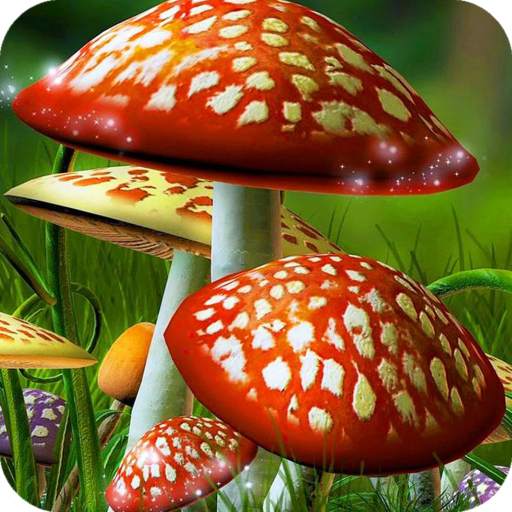 Mushroom Wallpaper Best HD 1.05