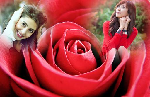 Macro Rose Photo Frame скриншот 2