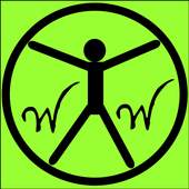 Wonderful World 1.0
