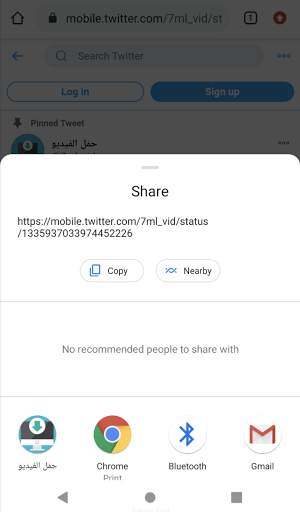 Download This Video screenshot 4