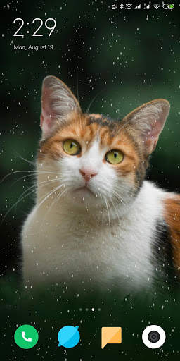 Cat Live Wallpaper screenshot 4