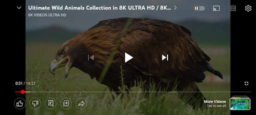 Media player screenshot 11
