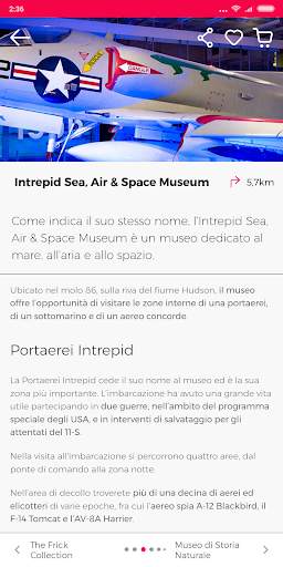 Guida  New York di Civitatis screenshot 6