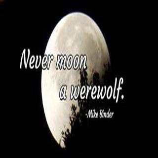 Cool Funny Quotes Free images screenshot 9