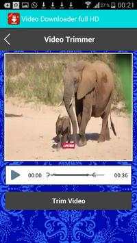 Video Downloader full HD screenshot 4