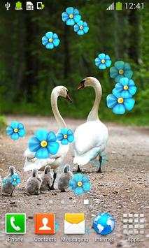 Love Birds Live Wallpapers screenshot 2