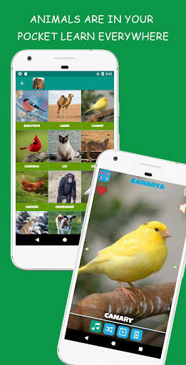 Animal Sounds screenshot 1