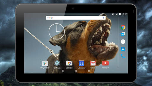 Fighting Dogs Live Wallpaper screenshot 6