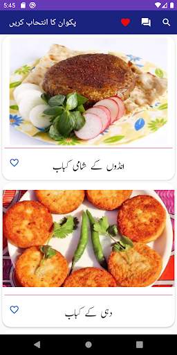 Pakistani Food Recipes In Urdu screenshot 8