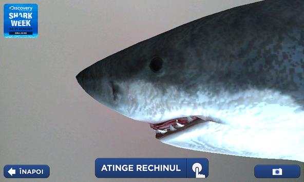Shark Week स्क्रीनशॉट 3
