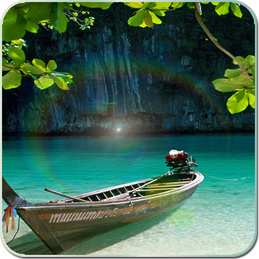 Sunshine Nature Leaf Wallpaper icon