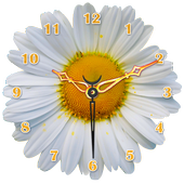 Daisy Flower Clock icon