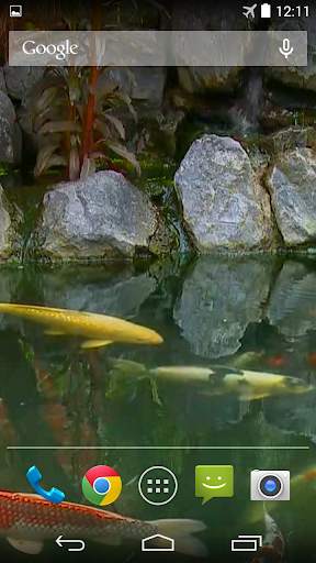 Koi Pond Video Live Wallpaper screenshot 4