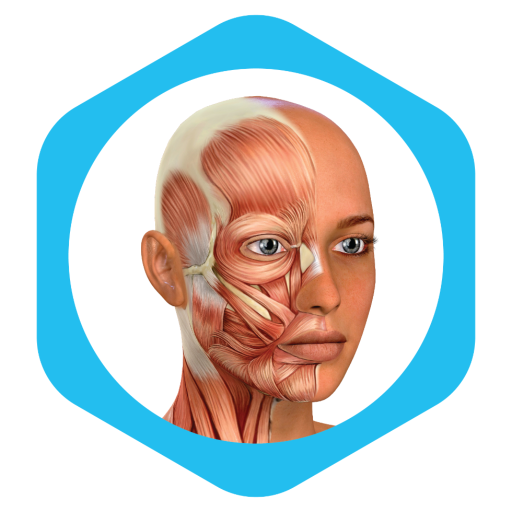 Medical Terminology Learning Quiz - Anatomy icon