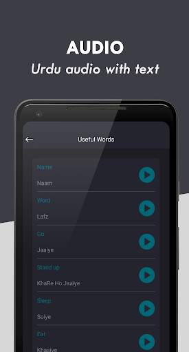 Learn Urdu - Translate Urdu screenshot 6