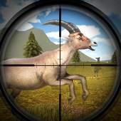 Planet Hunting- Zoo Sniper 1.1