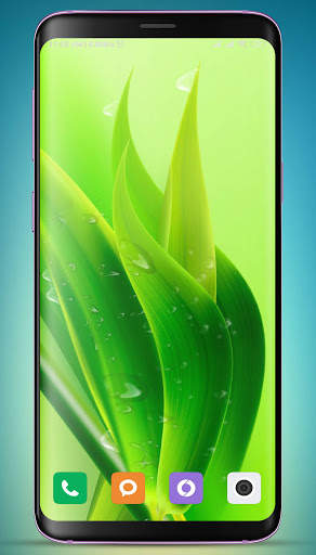 Bamboo Wallpaper HD screenshot 16