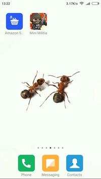 Ants On Screen Funny Joke screenshot 4