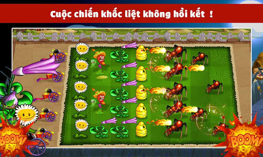 Hoa qua noi gian screenshot 4