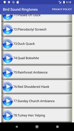 Bird Sound Ringtones: Bird call ringtones screenshot 3